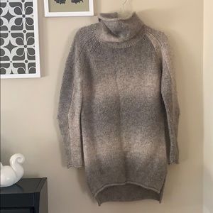 Aritzia Turtleneck Sweater Tunic